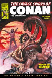 SAVAGE SWORD OF CONAN THE ORIGINAL COMICS OMNIBUS HC VOL 04 REGULAR EDITION EARL NOREM (MR)