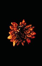 ANNOTATED SANDMAN HC VOL 03 (RES) (MR)