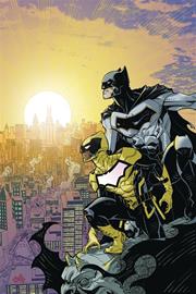 BATMAN AND THE SIGNAL TP