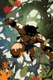 FIRE AND ICE DARKWOLF #1 CVR J INC 1:10 CARY NORD VIRGIN VAR