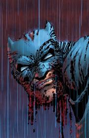 BATMAN DARK KNIGHT MASTER RACE COVERS DLX ED HC