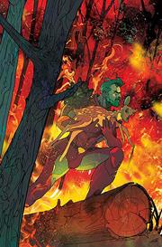 CAPTAIN PLANET #2 CVR J INC 1:15 CHRISTIAN WARD VIRGIN INCV
