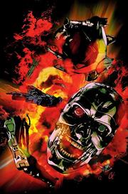 TERMINATOR #10 CVR G INC 1:10 CAT STAGGS VIRGIN VAR