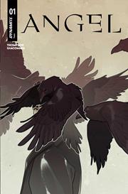 ANGEL #1 CVR C MEREDITH MCCLAREN VAR