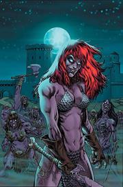 RED SONJA VS ARMY OF DARKNESS #5 CVR E TOM RANEY METAL PREMIUM VIRGIN VAR