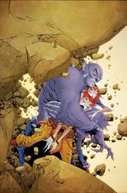 THUNDERCATS #17 CVR Q INC 1:20 JAE LEE JUNE CHUNG VIRGIN VAR