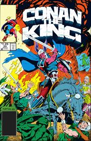 KING CONAN THE ORIGINAL COMICS OMNIBUS HC VOL 02 DIRECT MARKET EDITION JUDITH HUNT CVR (MR)