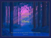 DISNEY THE WONDERFUL WORLDS OF DISNEY HC THE SCENIC ART OF WALT DISNEY ANIMATION STUDIOS