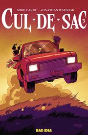 CUL DE SAC #3 (OF 5) CVR B TONY FLEECS CURSED MIRROR VAR
