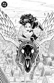 ABSOLUTE WONDER WOMAN NOIR EDITION #1 (ONE SHOT) CVR C HAYDEN SHERMAN FOIL VAR