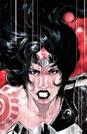 ABSOLUTE WONDER WOMAN #14 CVR D DUSTIN NGUYEN CARD STOCK VAR