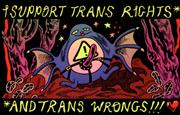 BOY ISLAND I SUPPORT TRANS RIGHTS AND TRANS WRONGS STICKER