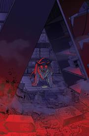 FERAL #20 CVR C INC 1:10 TONY FLEECS & TONE RODRIGUEZ VIRGIN VAR