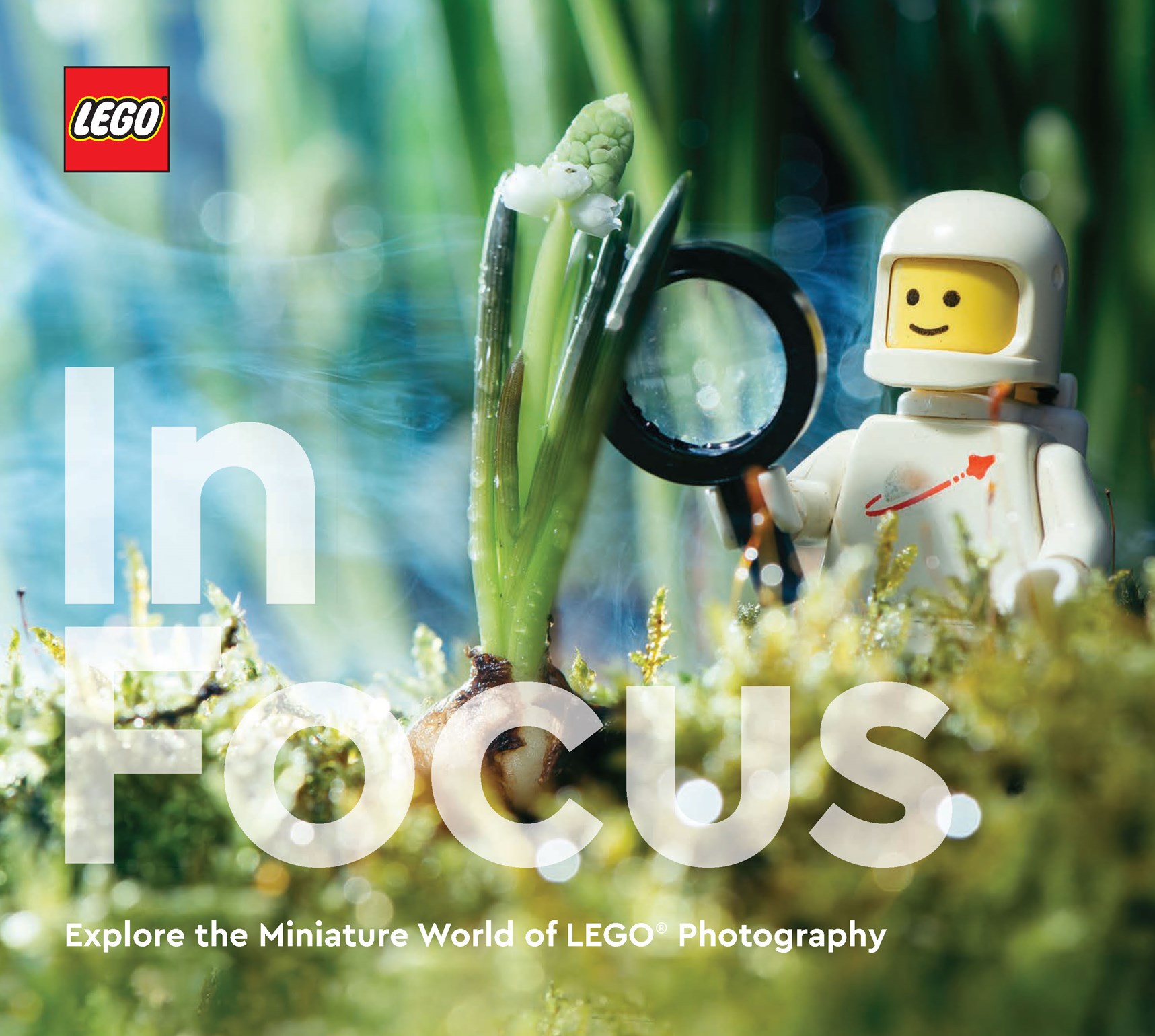  1125CH0458 | LEGO IN FOCUS HC | CHRONICLE  