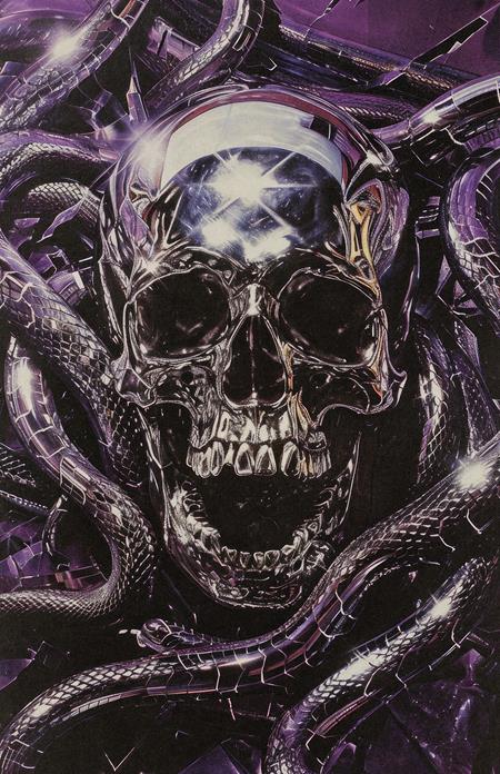 Weekly Pull list - CHAMBERLAINS #2 CVR D TODD SKULL METAL COVER VAR (MR)