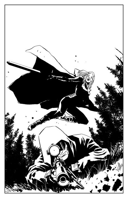 LOST FANTASY #2 CVR C INC 1:15 LUCA CASALANGUIDA B&W VAR