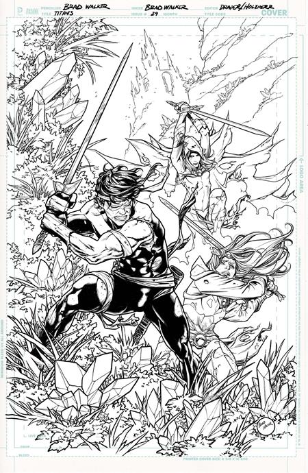 Weekly Pull list - TITANS #29 CVR B BRAD WALKER CARD STOCK VAR (DC K.O.)