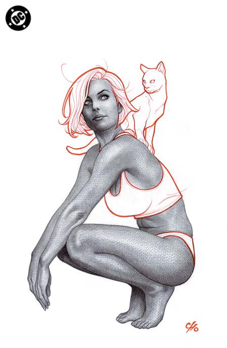 CATWOMAN #71 CVR F INC 1:50 FRANK CHO CARD STOCK VAR