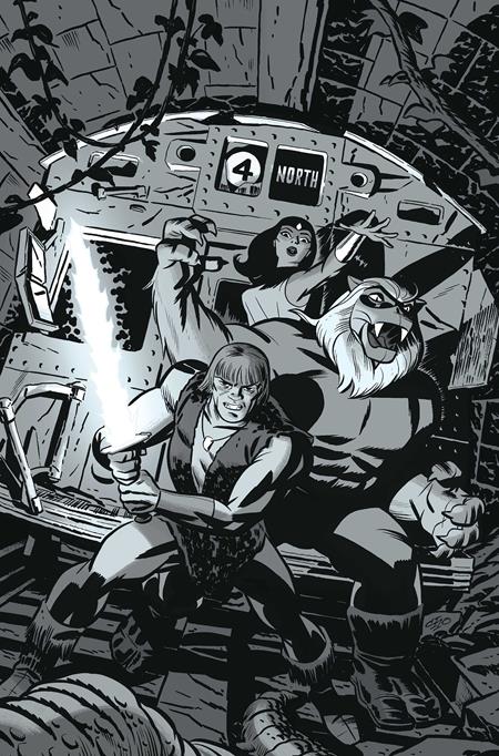 THUNDARR THE BARBARIAN #2 CVR H INC 1:15 MICHAEL CHO LINE ART VIRGIN VAR